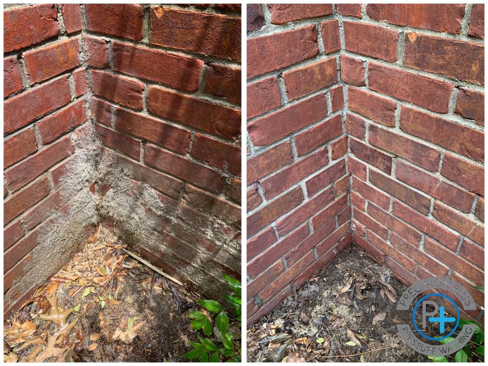 Efflorescence Removal