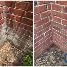 Efflorescence Removal